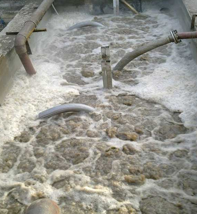 西安下店玉米開發實業有限公司